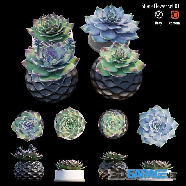 3d-model – Stone flower set 01