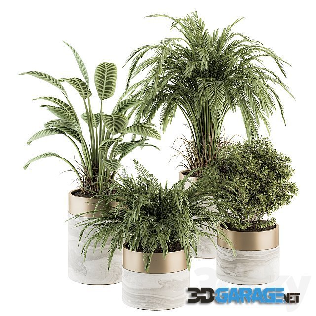 3d-model – Indoor Plant Set 245 – Plant Set in pot