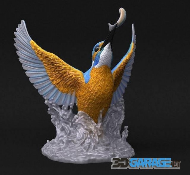 3d-Print Model – Kingfisher (MMU) Three Versions