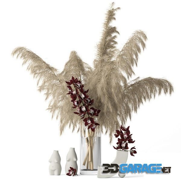 3d-model – Pampas grass and Cymbidium