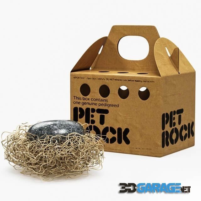 3d-model – Pet Rock