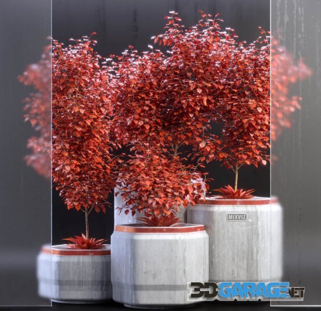 3d-model – Plants 012