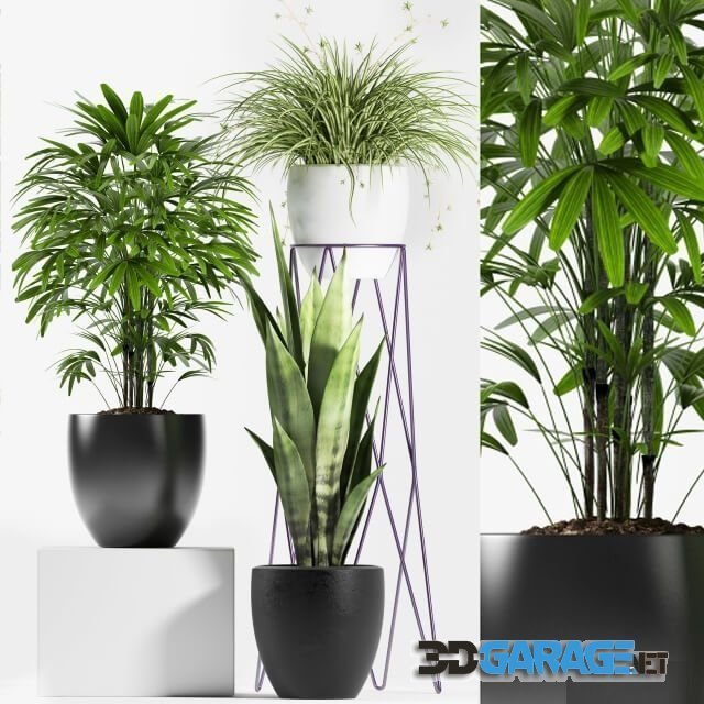 3d-model – Plants 125