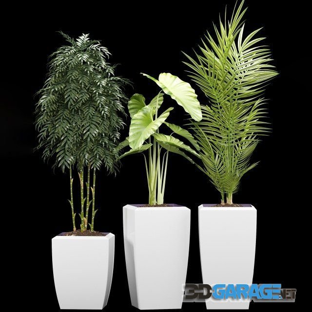 3d-model – Plants 127