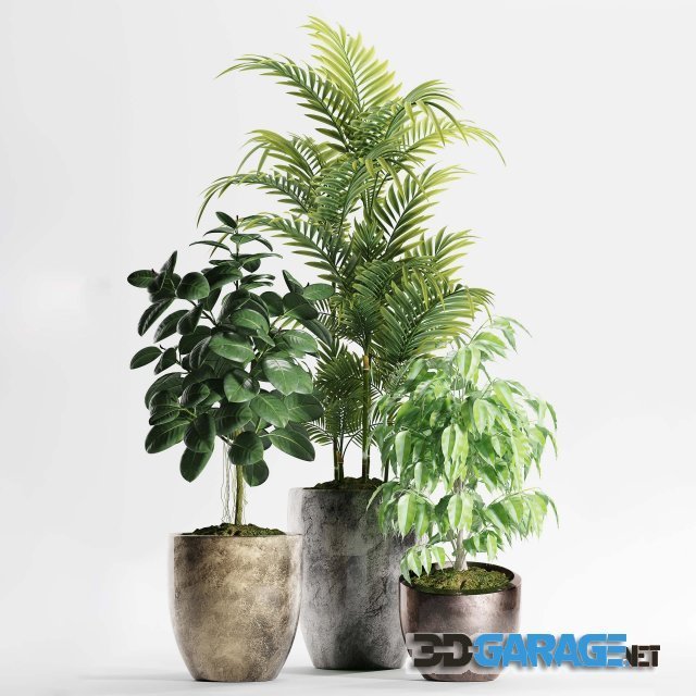3d-model – Plants 159