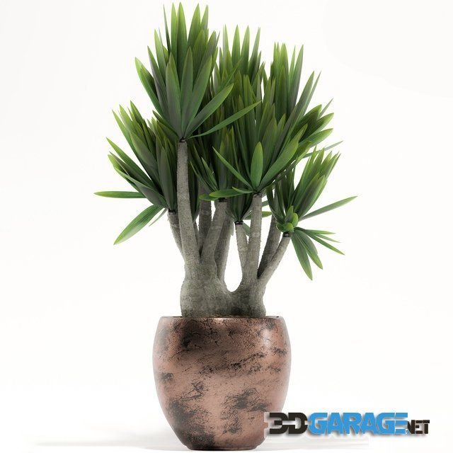3d-model – Plants 161