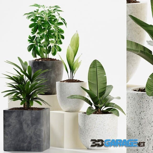 3d-model – Plants 165