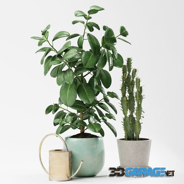 3d-model – Plants 186