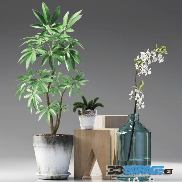 3d-model – Plants 187