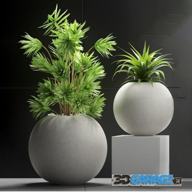 3D-model – Plants 196