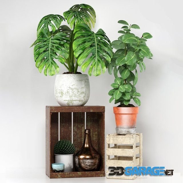 3d-model – Plants 204