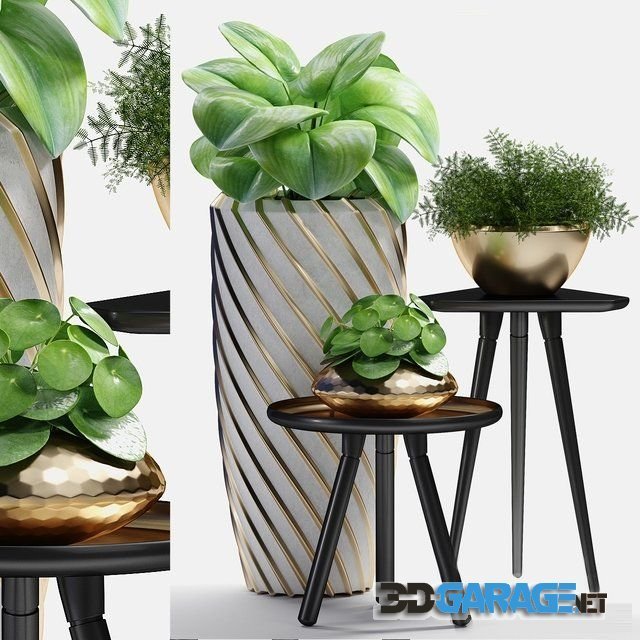 3d-model – Plants 217