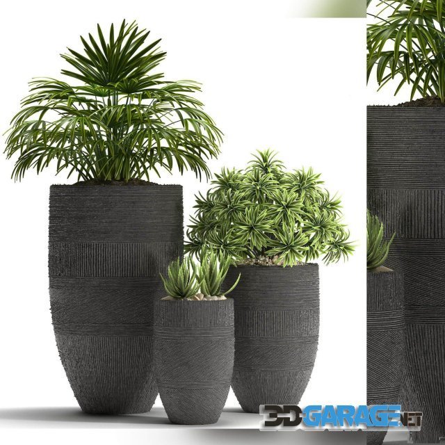 3d-model – Plants 42