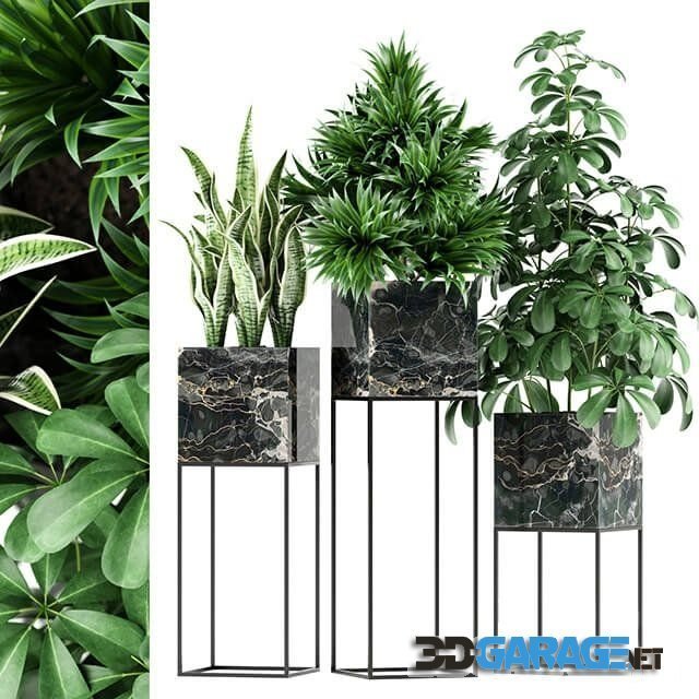3d-model – Plants 45
