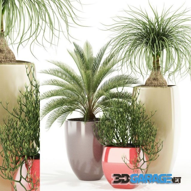 3d-model – Plants collection 101 Awesome planters