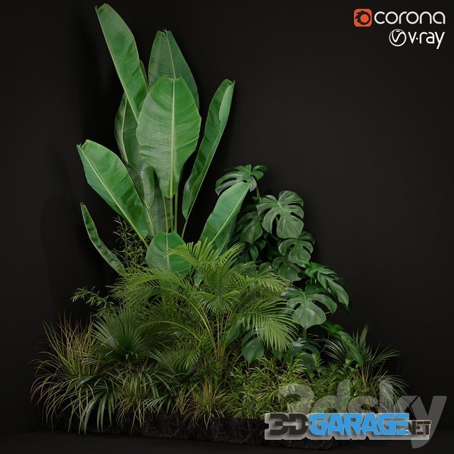 3d-model – Plants collection 196