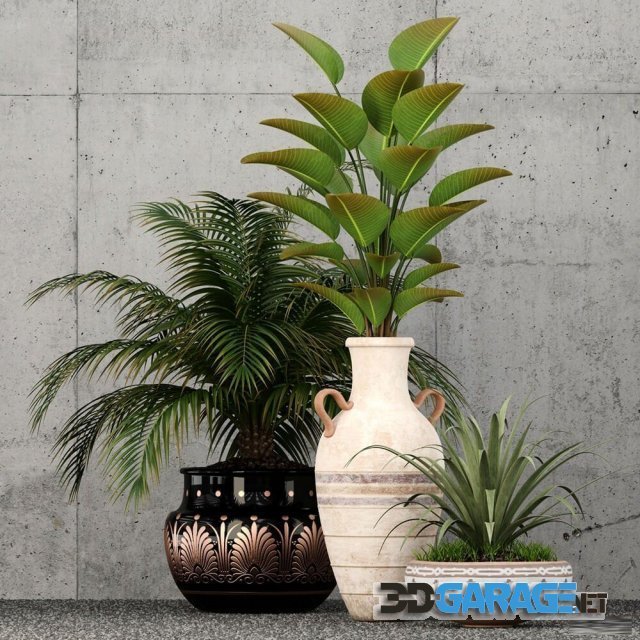 3d-model – Plants collection 59