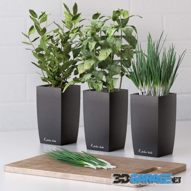 3d-model – Plants for the kitchen 2