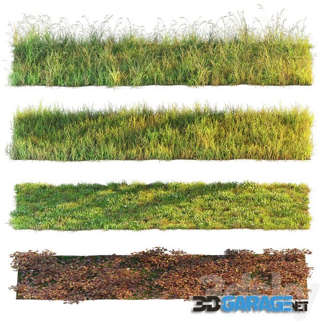 3d-model – Set of grass and leaves