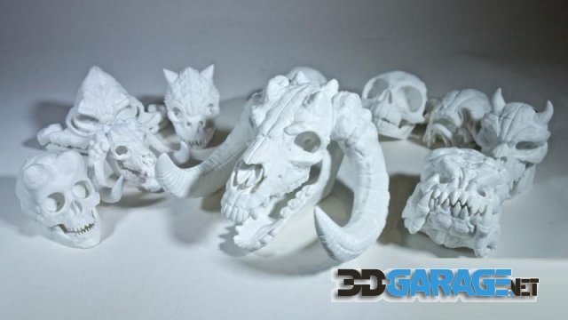 3d-Print Model – Star Wars Skulls