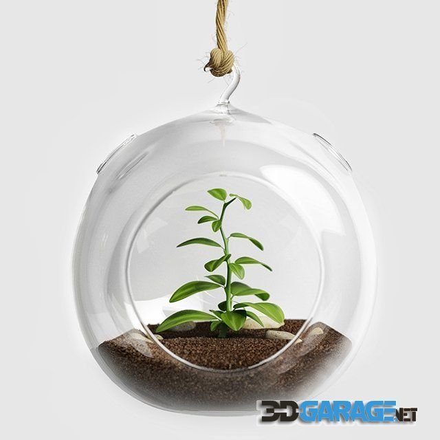 3d-model – Terrarium for herbs