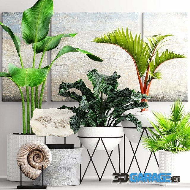 3d-model – The collection of plants in pots 15