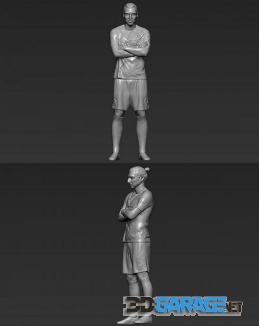 3D-Print Model – Zlatan Ibrahimovic