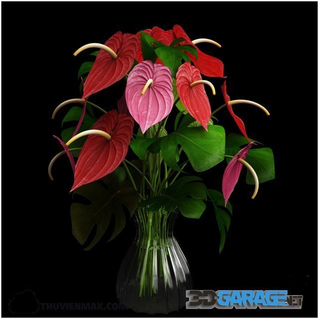 3d-model – Anthurium color flower