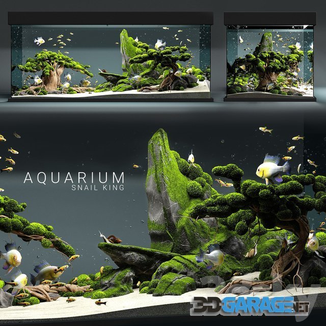3d-model – Aquarium Snail King