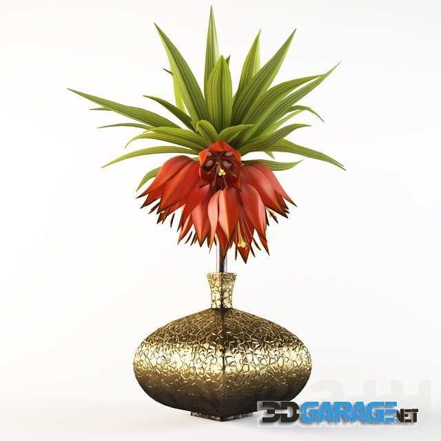 3d-model – Fritillaria imperialis plant