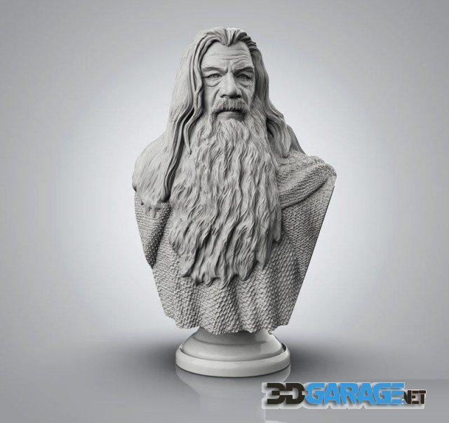 3d-Print Model – Gandalf Bust