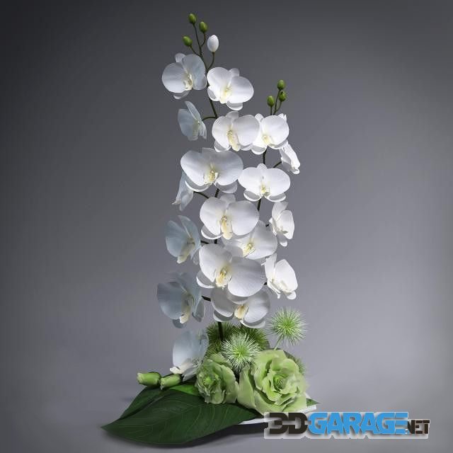 3d-model – Ikebana with orchids