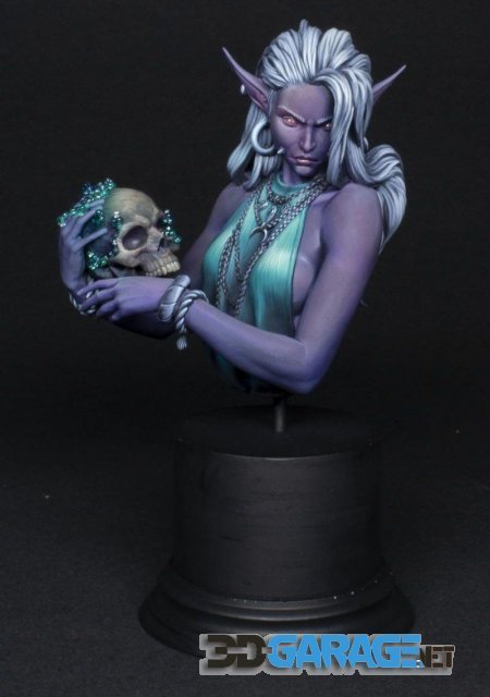 3d-Print Model – Laedria the Necromancer Bust