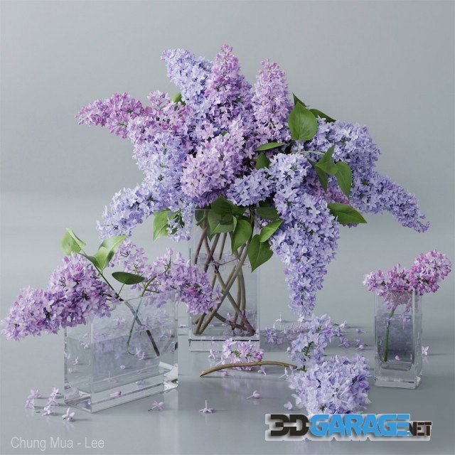3d-model – Lilac 4