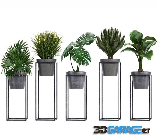 3d-model – Plant collection 241