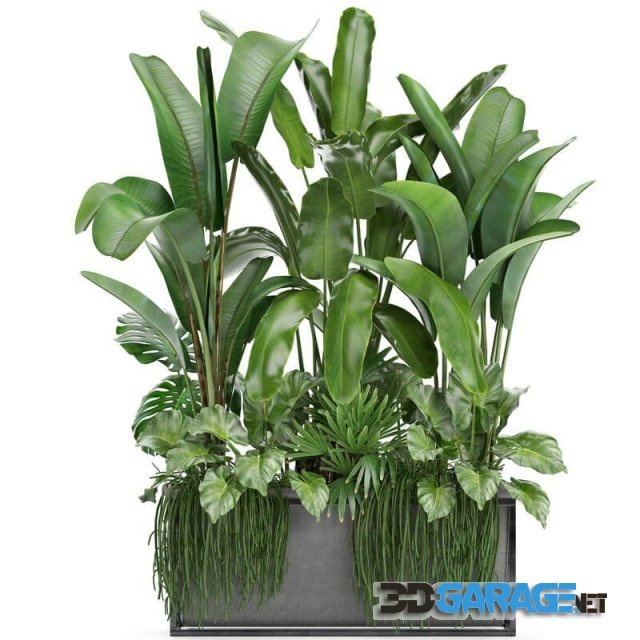 3d-model – Plant collection 243