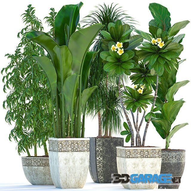 3d-model – Plant collection 251