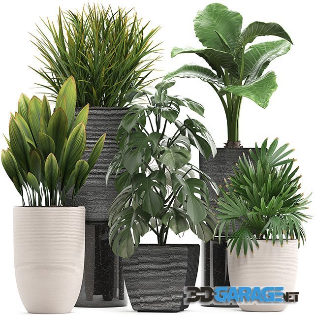 3d-model – Plant Collection 277