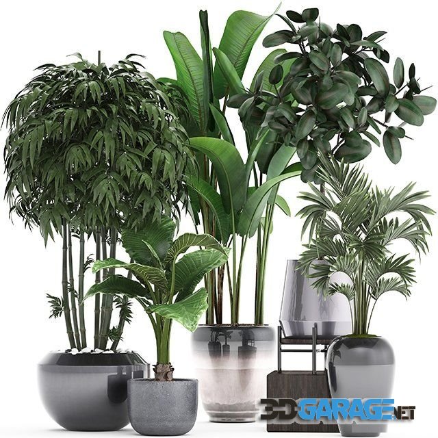 3d-model – Plant collection 291
