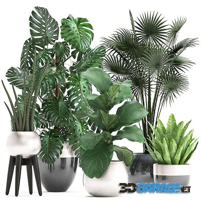 3d-model – Plant Collection 293