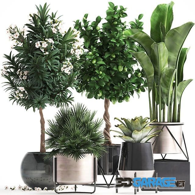 3d-model – Plant collection 297