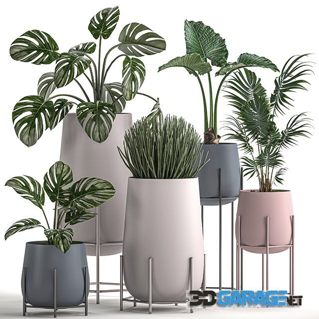 3d-model – Plant Collection 547
