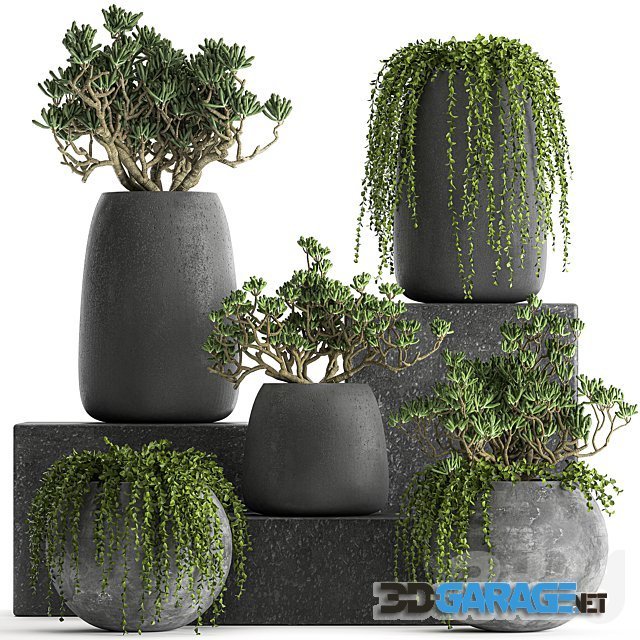 3d-model – Plant Collection 810