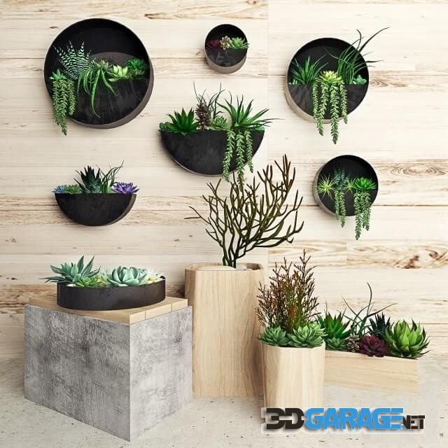 3d-model – Plant on the wall 1