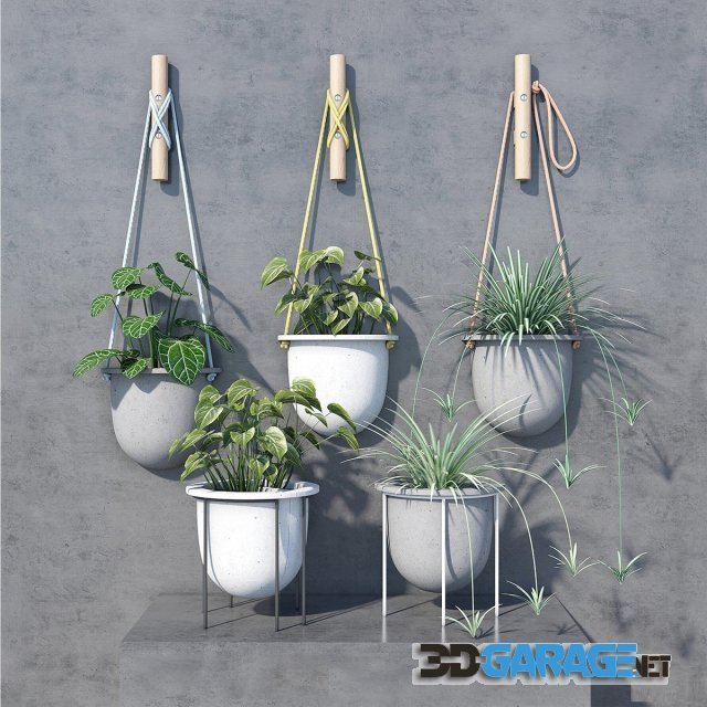 3d-model – Plant Set 22