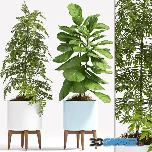 3d-model – Plant Set - 77