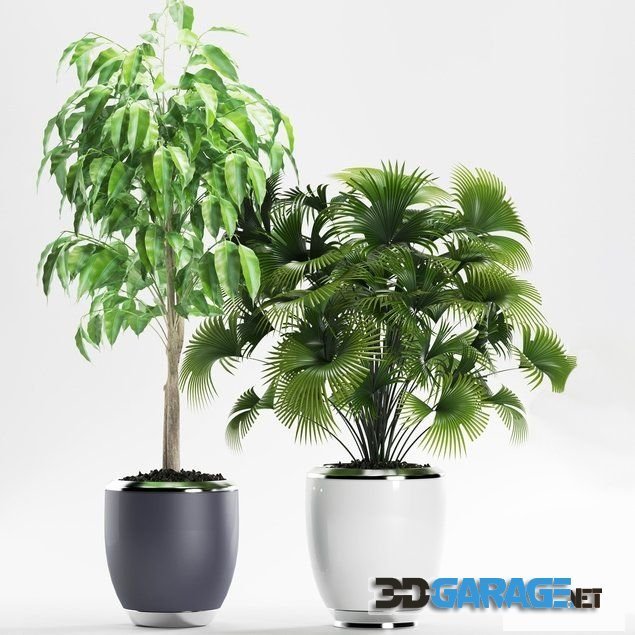 3D-model – Plants 139