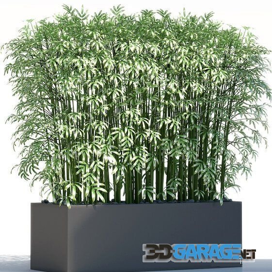 3d-model – Plants 189
