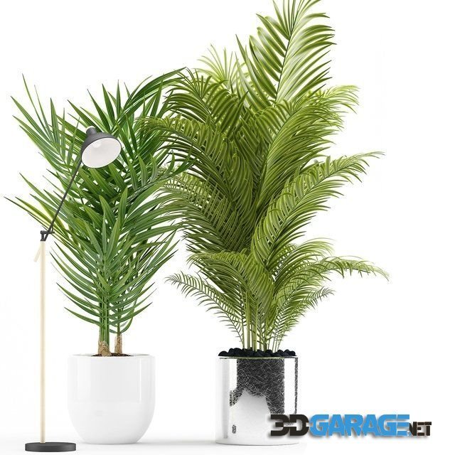 3D-model – Plants 191