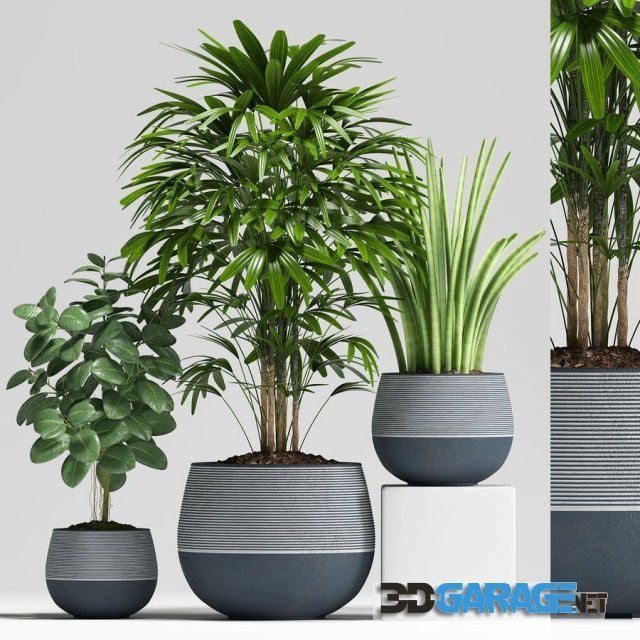 3D-model – Plants 194